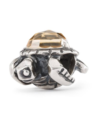 Trollbeads Long life TAGBE-00299