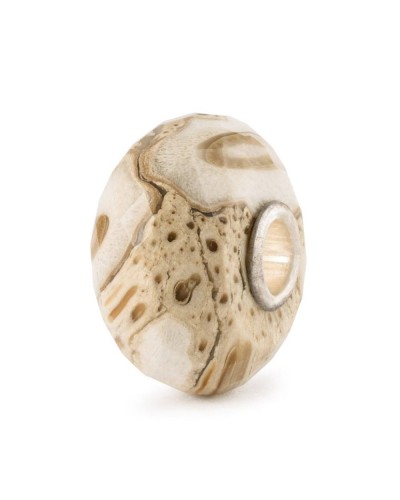 Trollbeads Legno Fossile TSTBE-20042