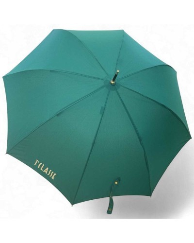 ALVIERO MARTINI 1° CLASSE Stockschirm Grün | PoppinsBags