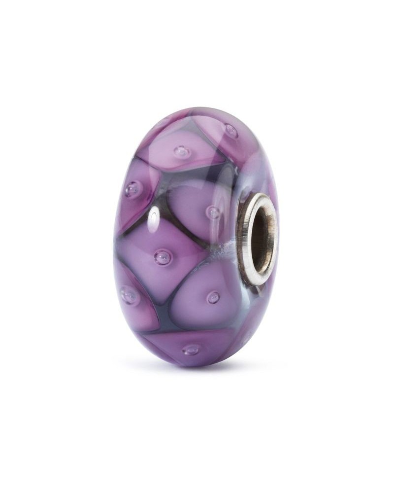 TROLLBEADS Silver Nature Friendship Bead Glass | PoppinsBags