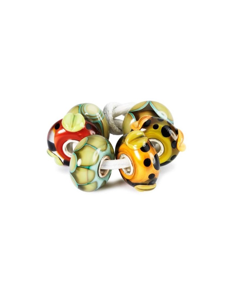 Trollbeads Native Elements Set | PoppinsBags
