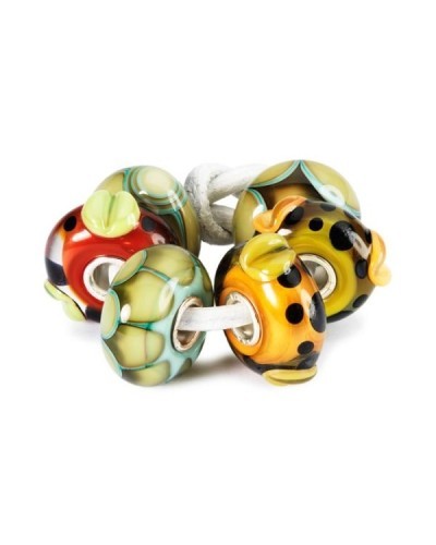 Trollbeads Native Elements Set | PoppinsBags