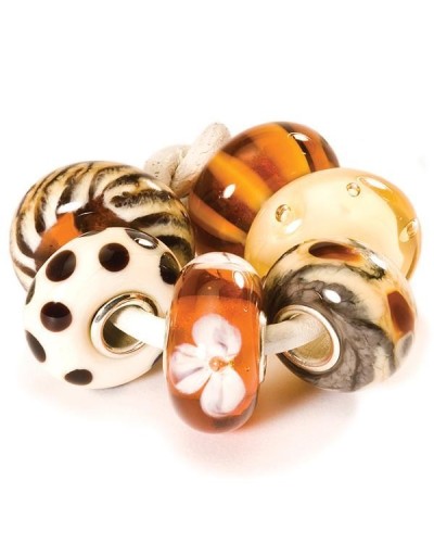 Trollbeads Braunes Set TGLBE-00062 | PoppinsBags