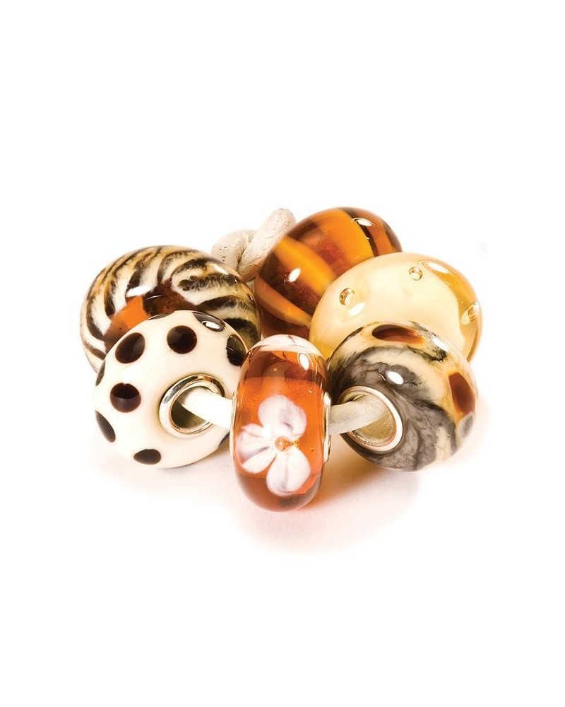 Trollbeads Set Marrone TGLBE-00062 | PoppinsBags