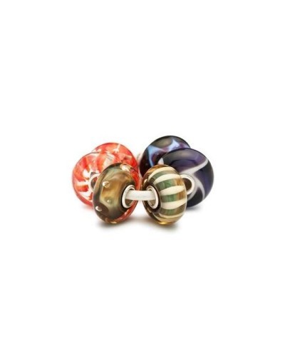 Trollbeads Organisches Set TGLBE-00024 | PoppinsBags