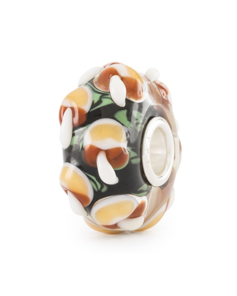 Trollbeads Setas de la Sabiduría | PoppinsBags