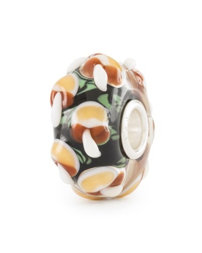 Trollbeads Setas de la Sabiduría | PoppinsBags