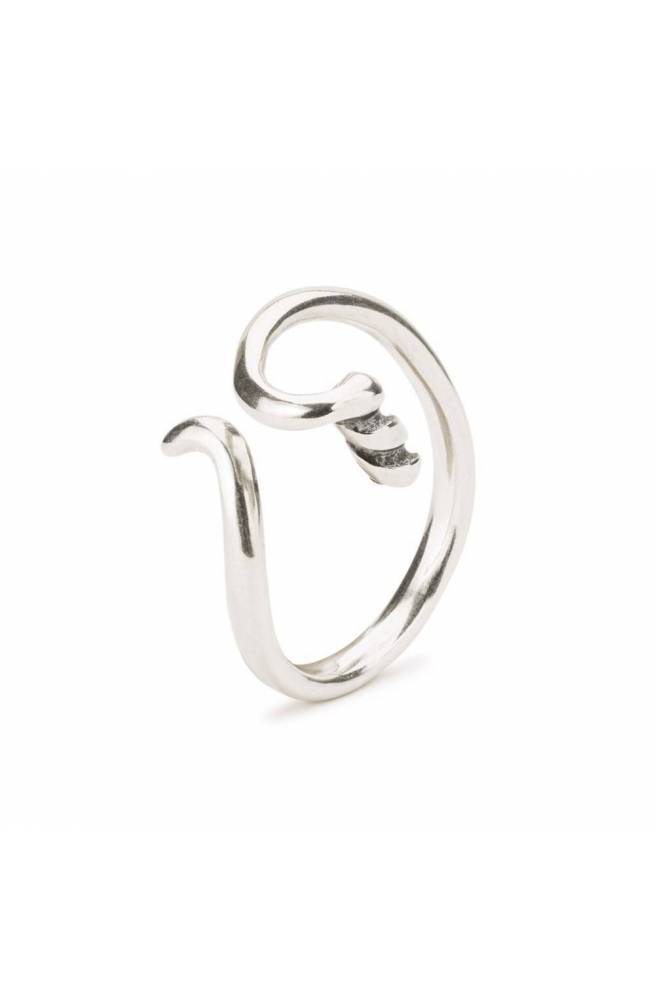 Trollbeads Fantasy ring meas. 19-20 TAGRI-00487