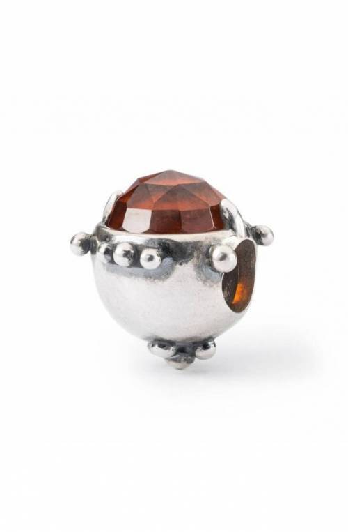 Trollbeads Dono dell'Amicizia TAGBE-00292