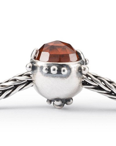 Trollbeads Dono dell'Amicizia TAGBE-00292